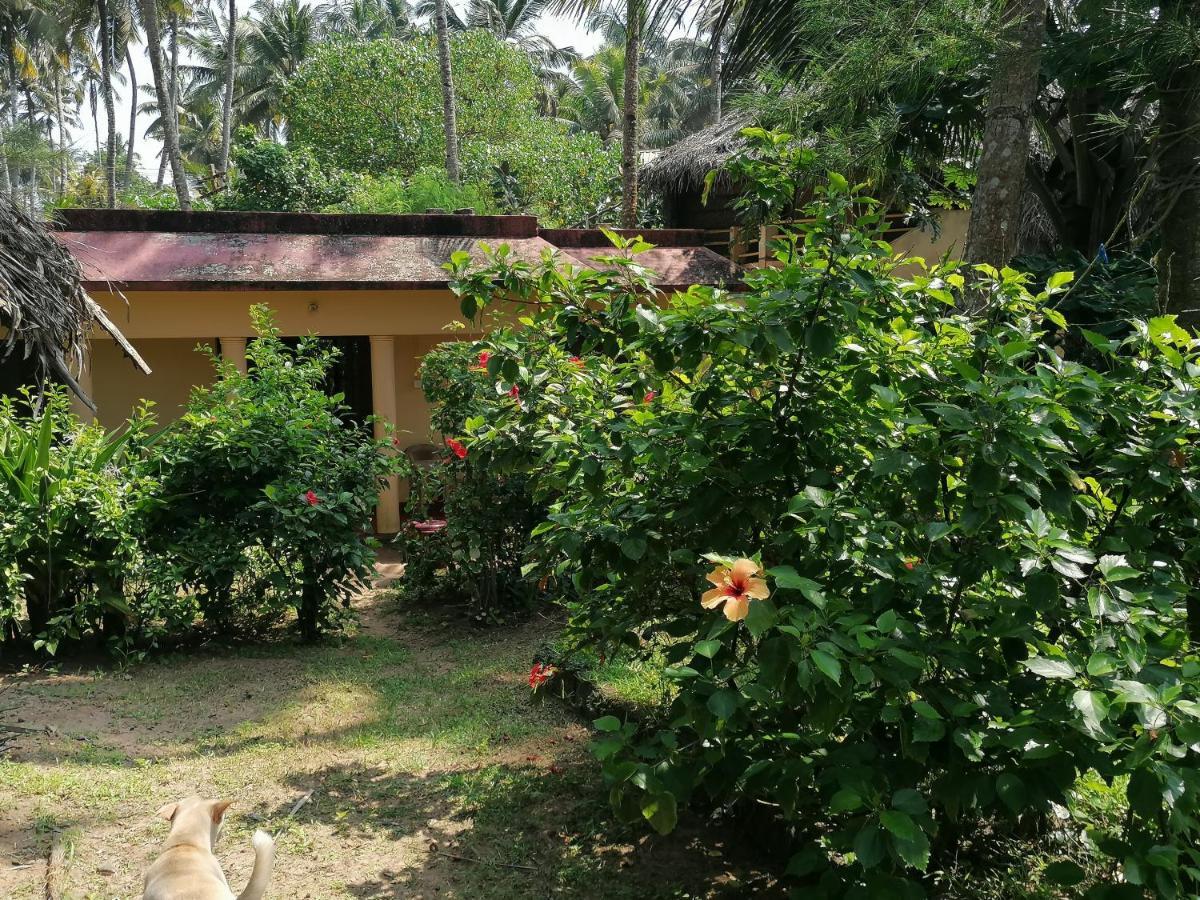 Sukriti Beach Resort Варкала Экстерьер фото